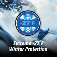 Clean Revolution winter protection visual melting ice for frost-free mornings.