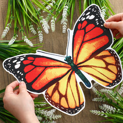 Crtiin butterfly magnets closeup design shows vivid colors on butterfly shapes.