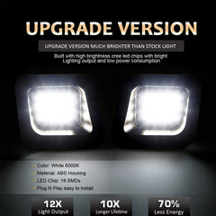 D-Lumina Dodge Ram smoke-lens license plate light on the left side for better rear illumination.