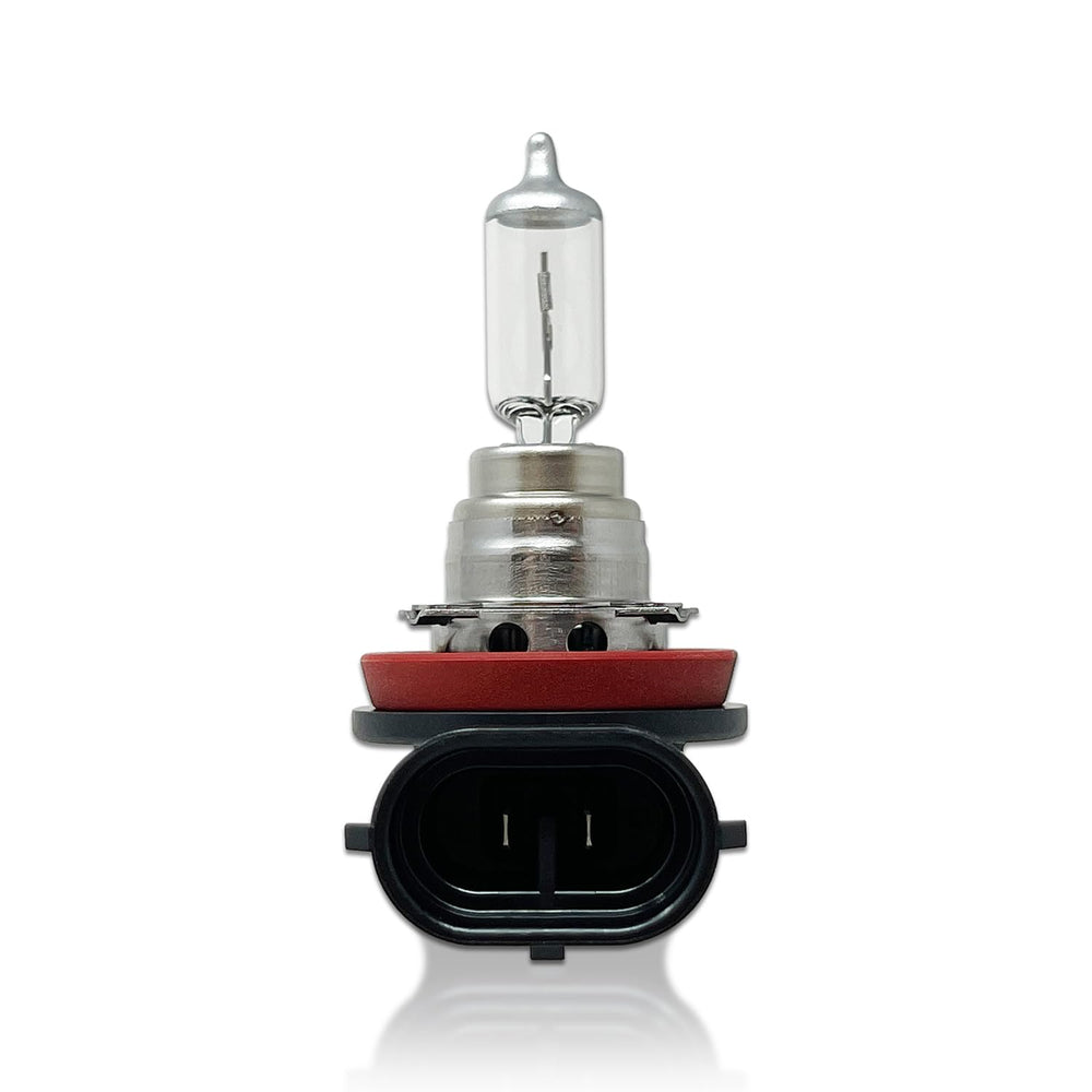 DAMA 64219L+ H16 base PGJ19-3 for secure compatibility with headlamp sockets.