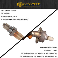 Dasbecan O2 sensor installation-ready components for quick setup