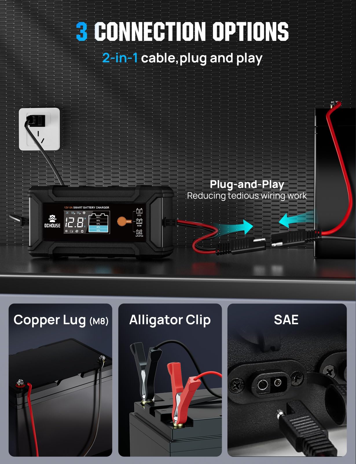 DC HOUSE 12V 5A charger performs in cold weather conditions.