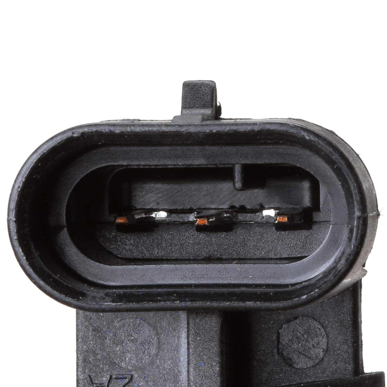 Delphi SS10206 wiring-harness closeup underscores secure electrical contact.