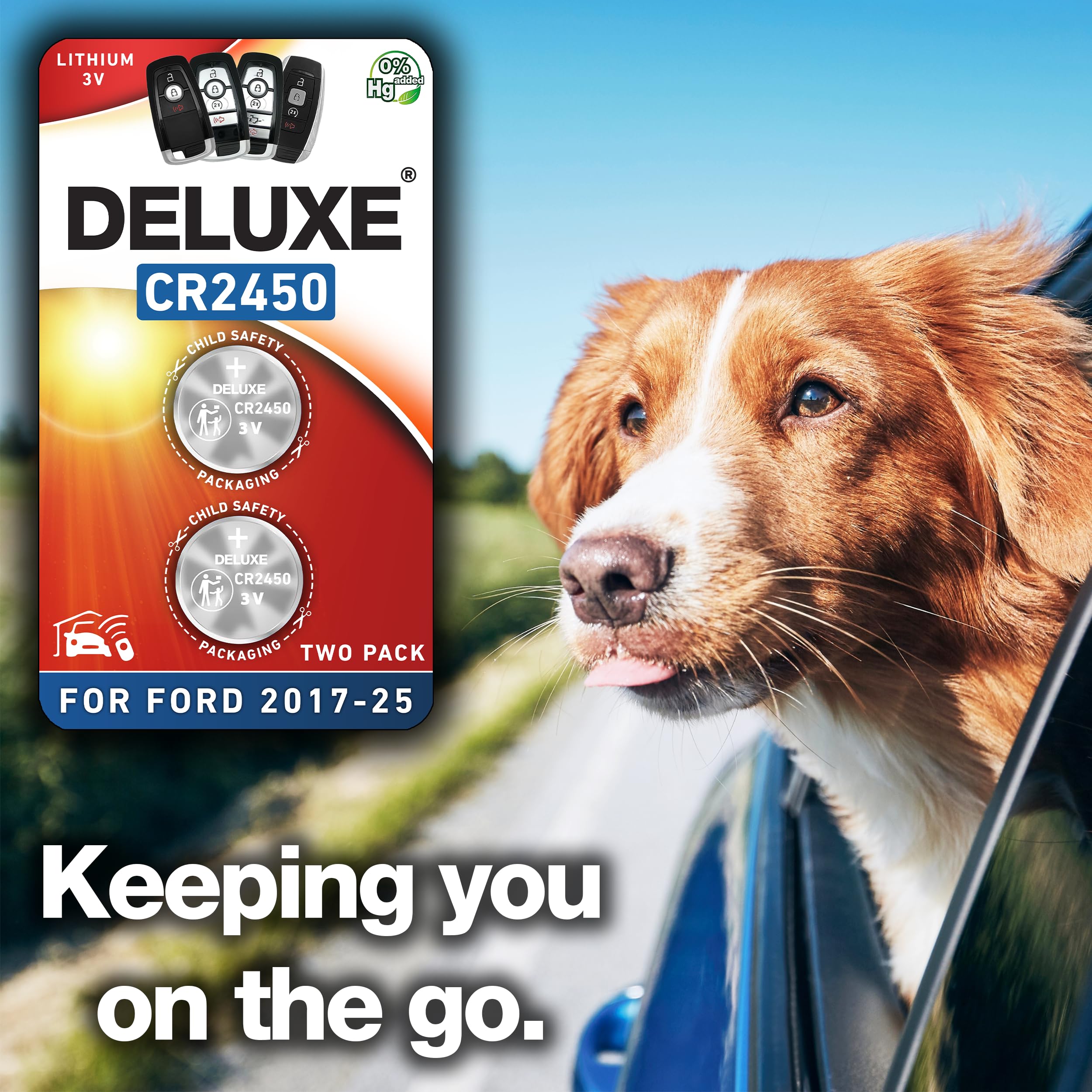 Avoid dealer charges with a quick home battery swap.
