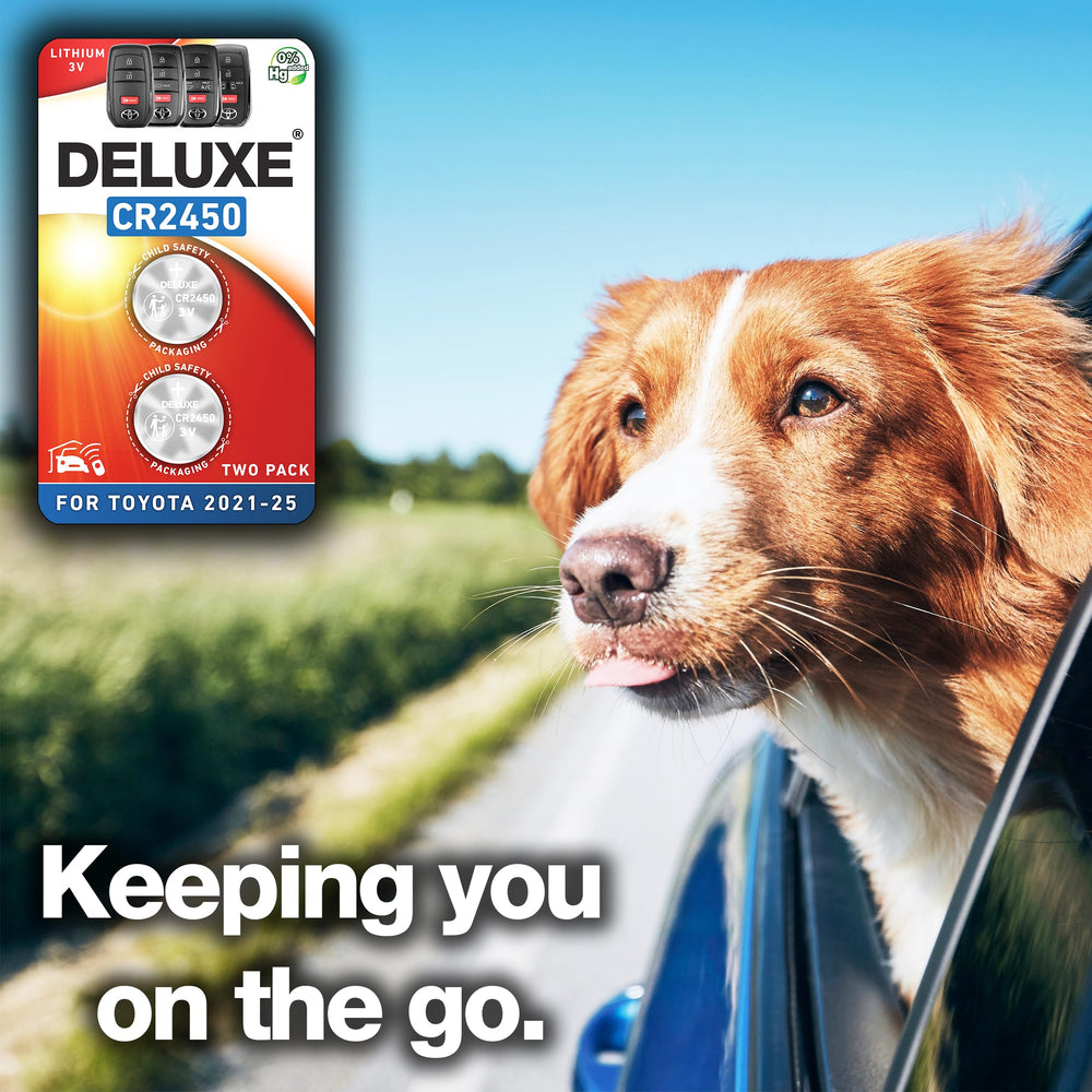 Deluxe Batteries Grand Highlander key fob battery image – fast, simple power refresh