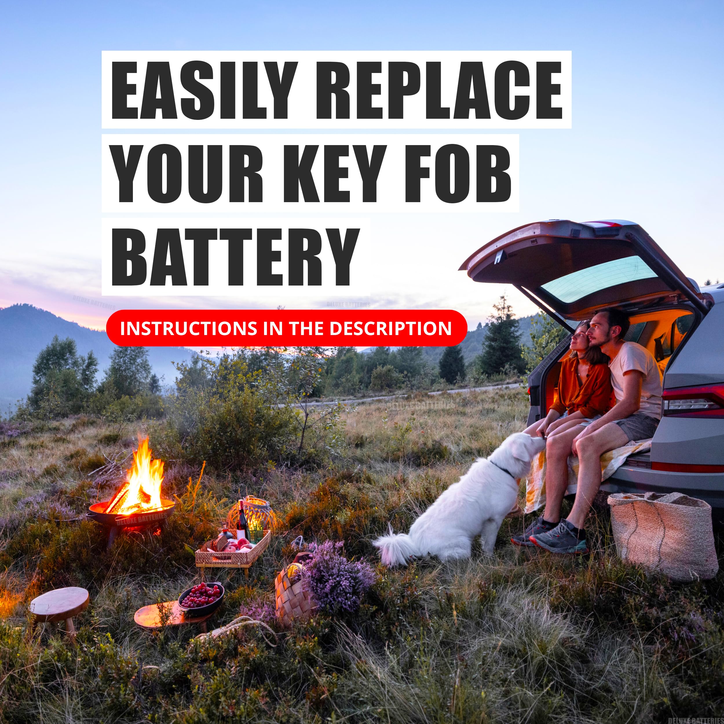 Deluxe Batteries Sequoia key fob battery image – long-lasting power for rugged work trips