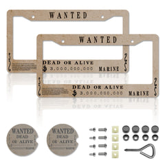 DGDRHZ anime license plate frame front view showcases vibrant artwork for a personalized ride