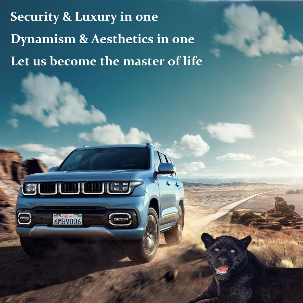 DGDRHZ car coaster and hardware set for vehicle organization and convenience