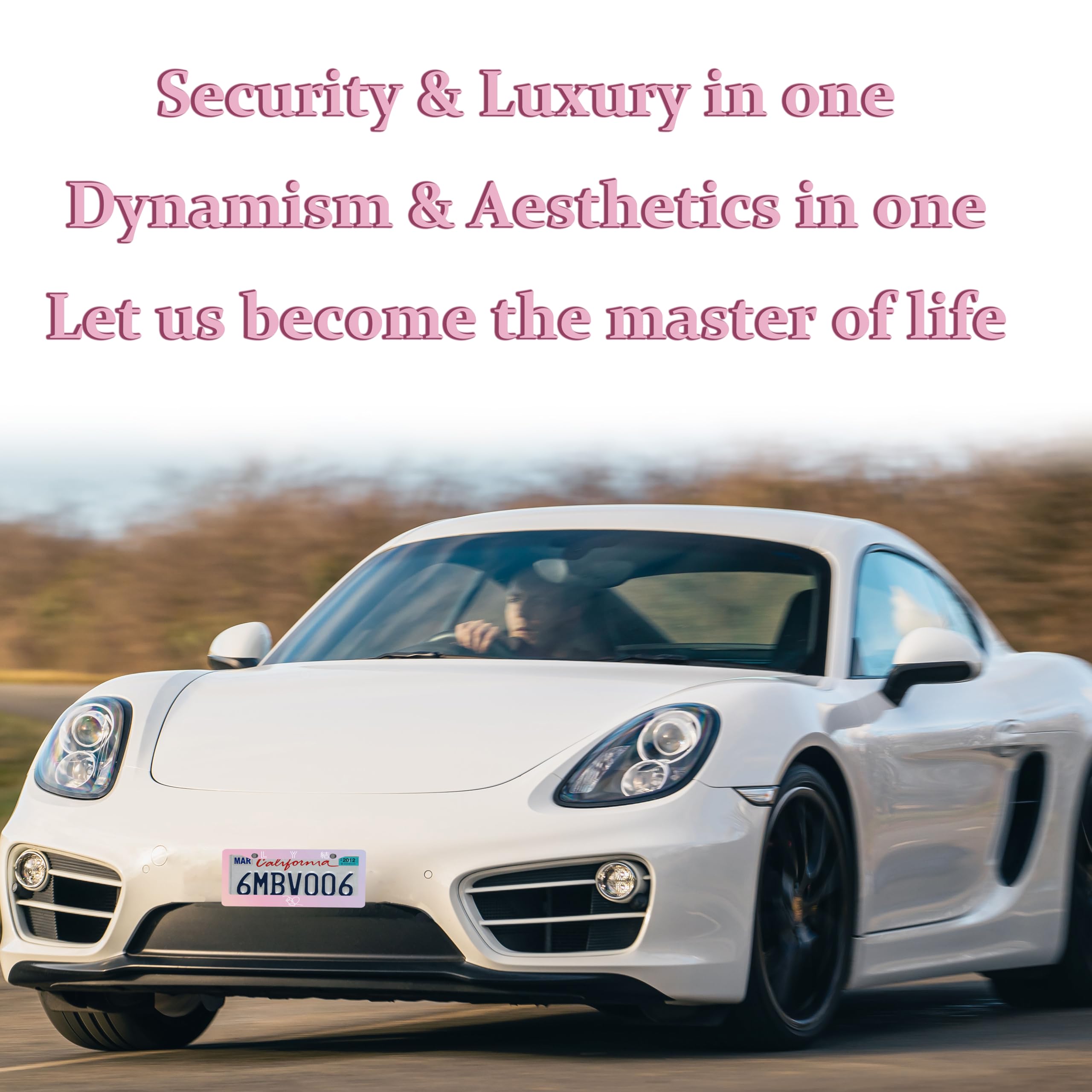DGDRHZ pink license plate frame with coaster set enhances dashboard aesthetics.