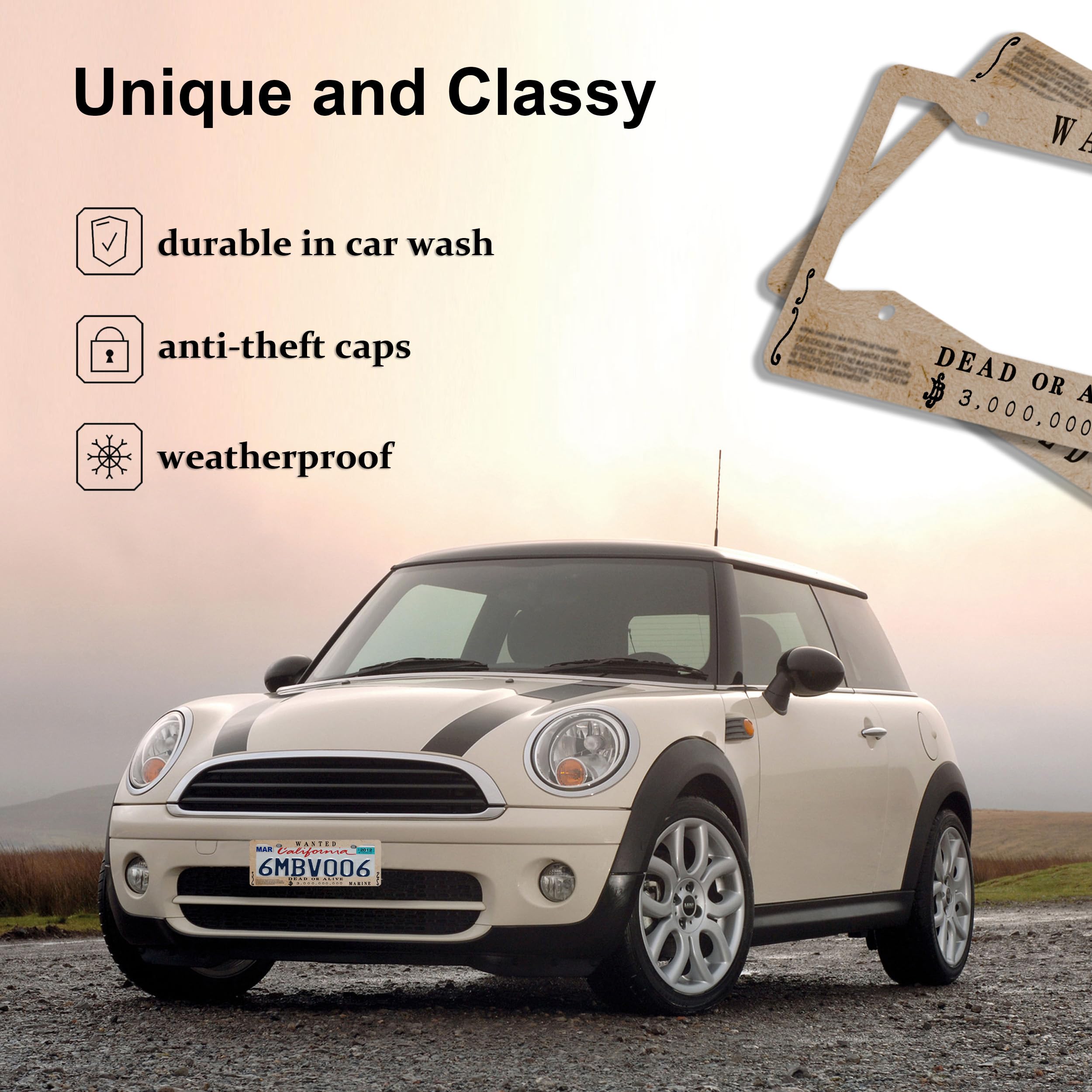 DGDRHZ US standard size 12.2 by 6 inches fits most vehicles securely