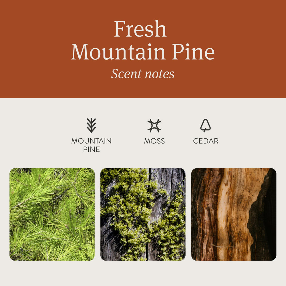 Drift pine-scent refill pack provides continuous fragrance between replacements.