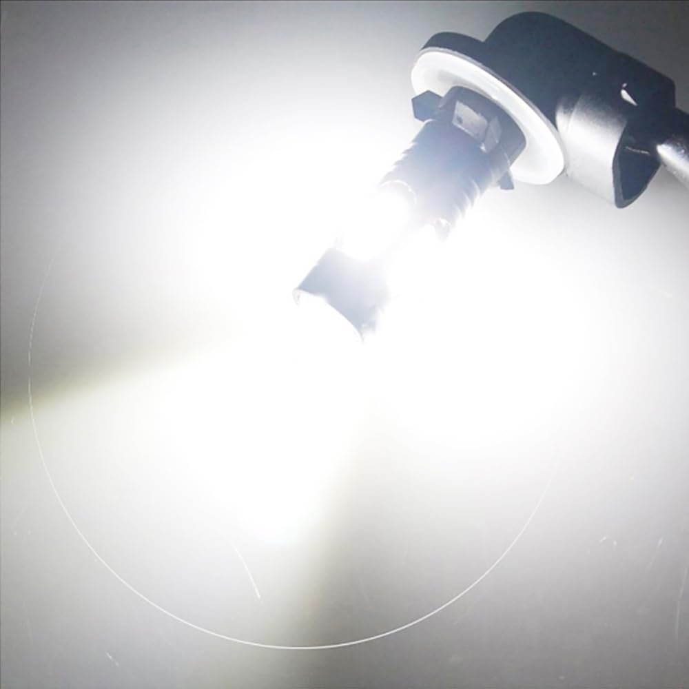 DSkoiph 6000K cool-white light sharpens contrast on dark trails.