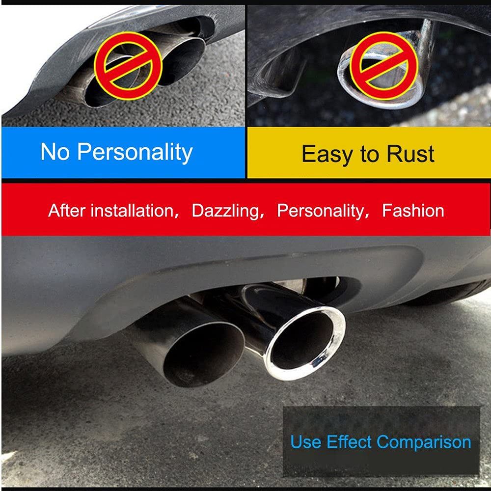 Dsycar Sagitar exhaust tips highlight a polished surface and added protection.