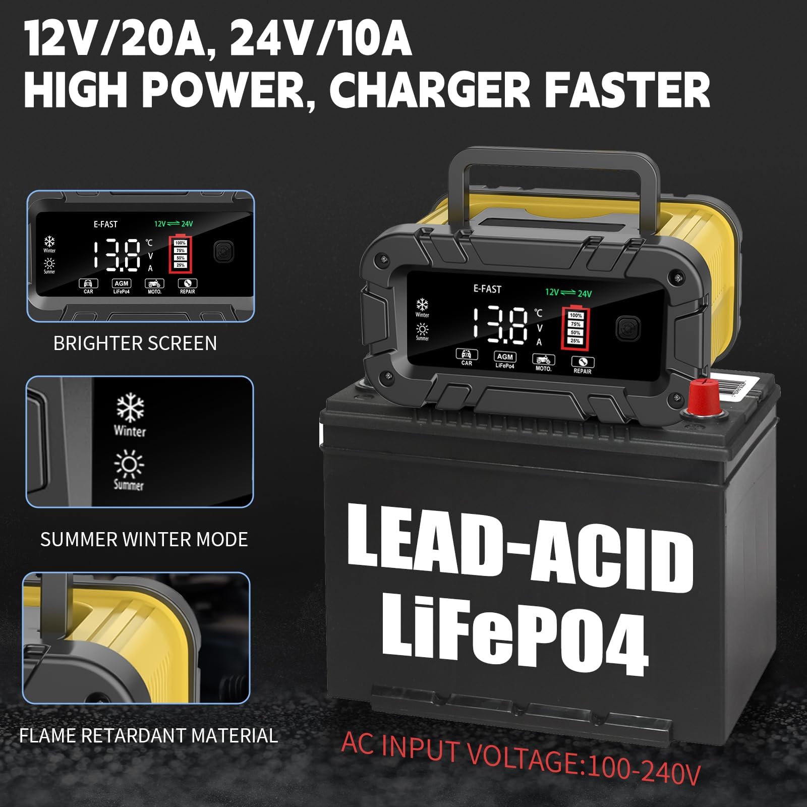 E-FAST 20A charger rear panel reveals easy hookup and robust ports.