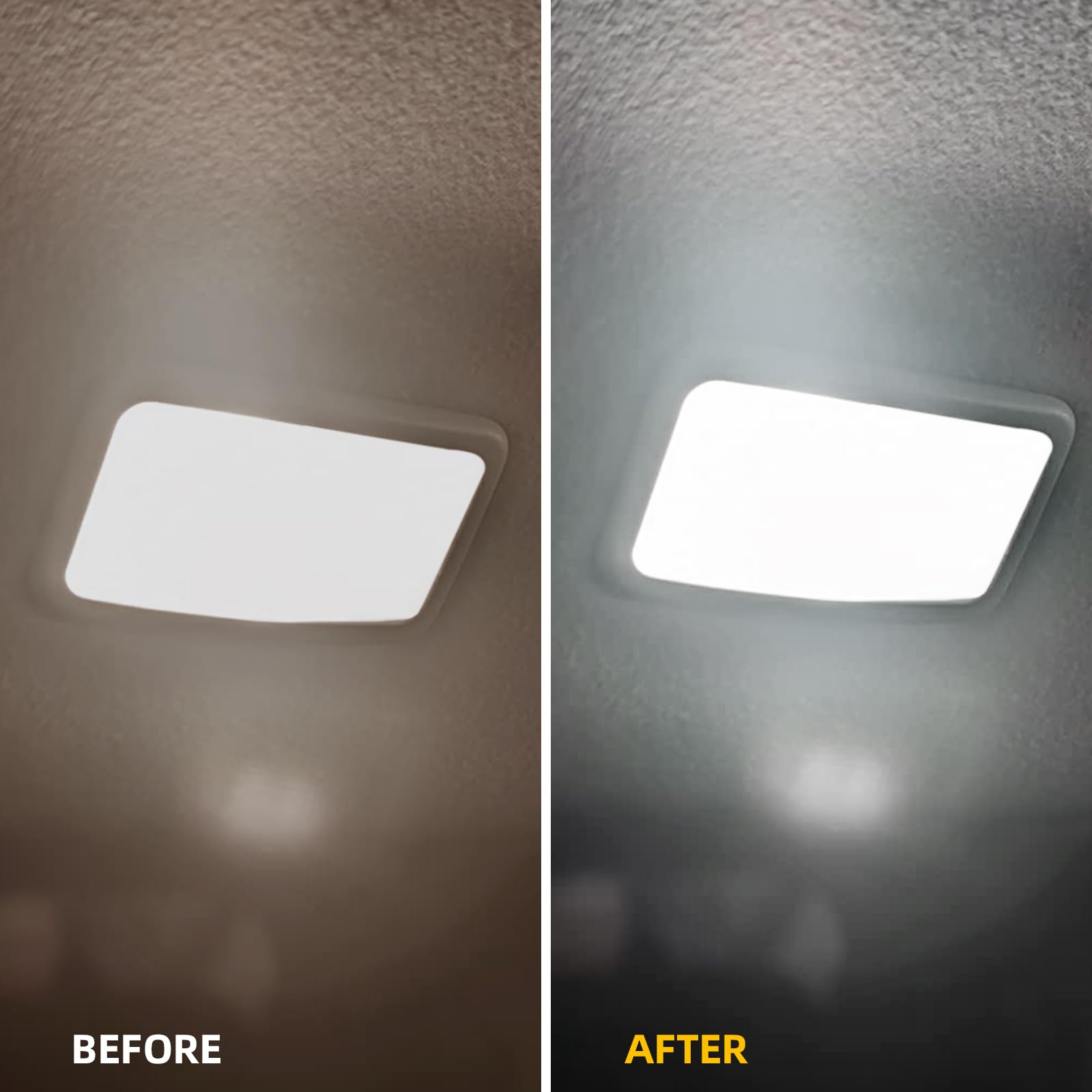 EASY EAGLE Sienna license plate lights illuminate the rear for clearer visibility