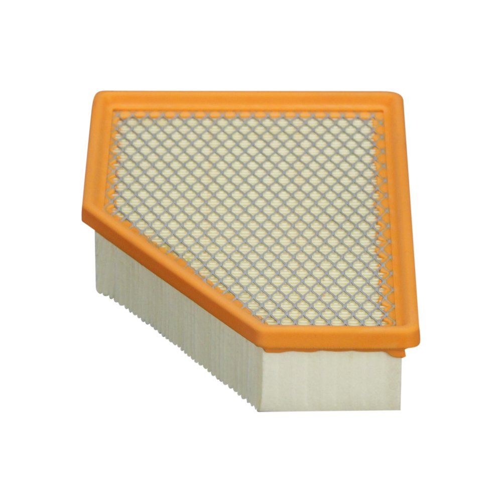 ECOGARD XA10635 filters dust and pollen to protect the engine intake