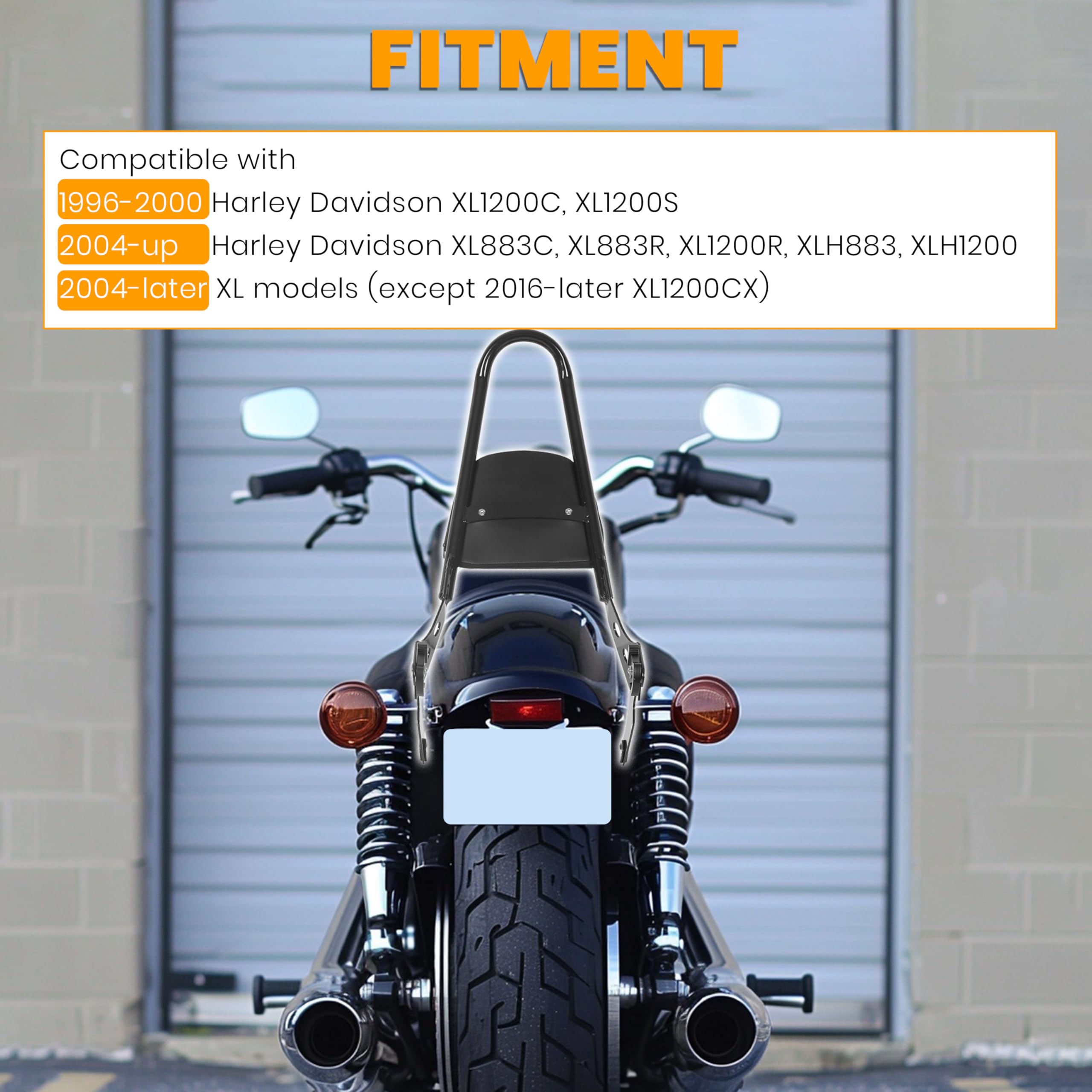 ECOTRIC detachable sissy bar design enables quick removal for flexible riding styles