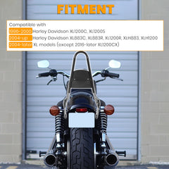 ECOTRIC detachable sissy bar design enables quick removal for flexible riding styles
