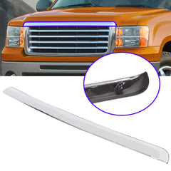 Close-up of painted-silvery surface on ECOTRIC hood molding
