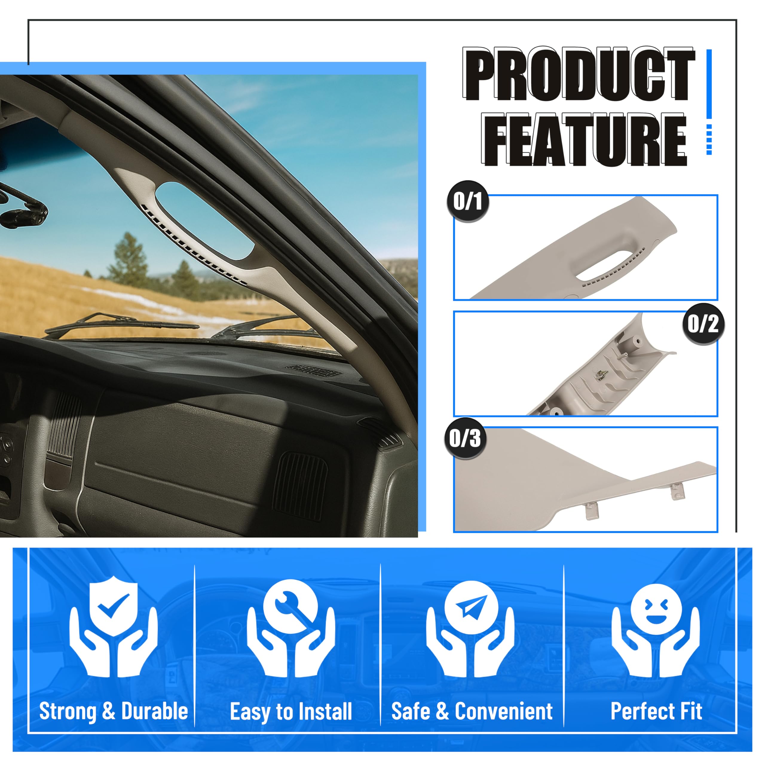ECOTRIC interior grab handle detail on a Dodge Ram 2002-2010