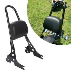ECOTRIC sissy bar backrest mounted on a Harley Sportster for passenger comfort on long rides