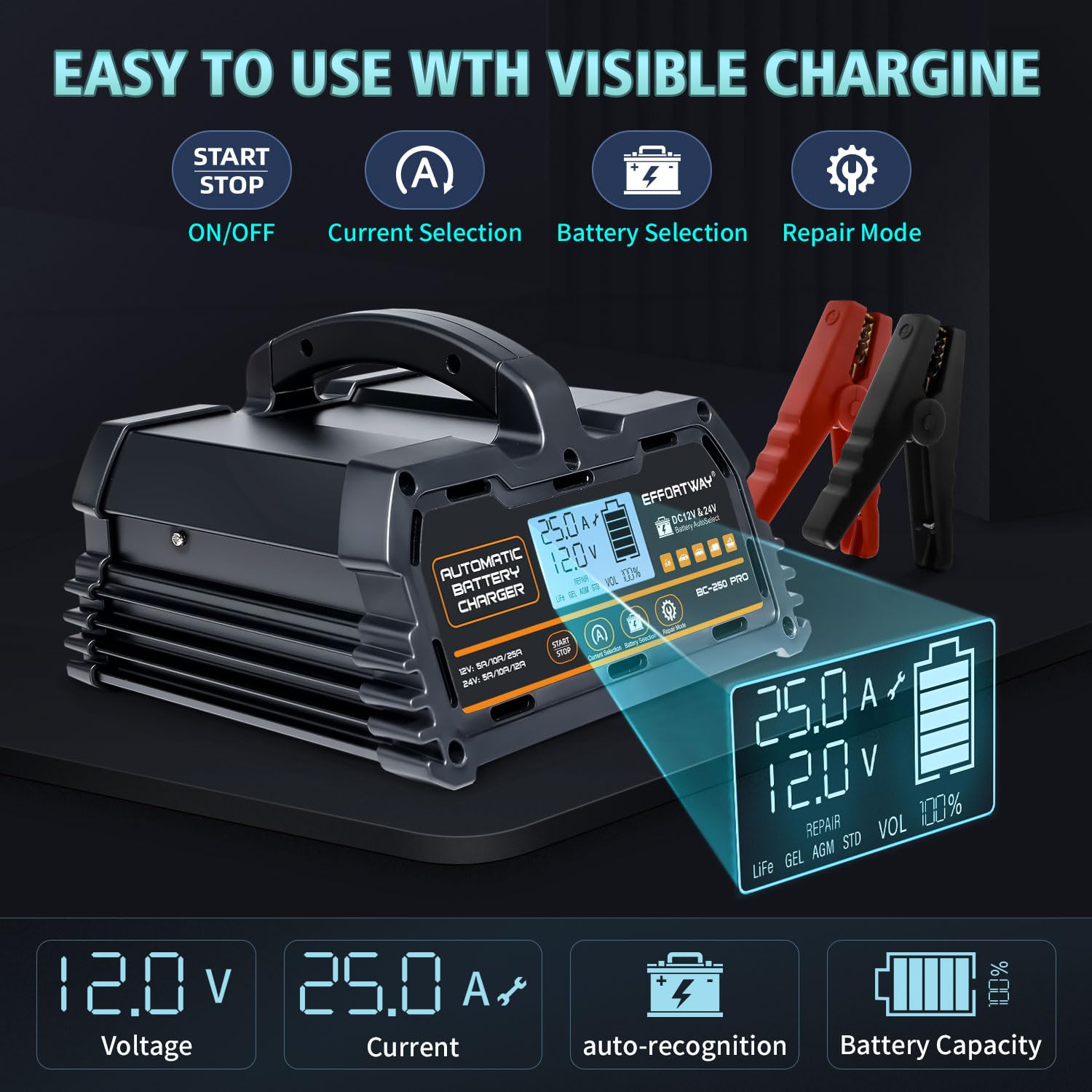 EffortWay 25A charger keeps batteries topped off with trickle mode.