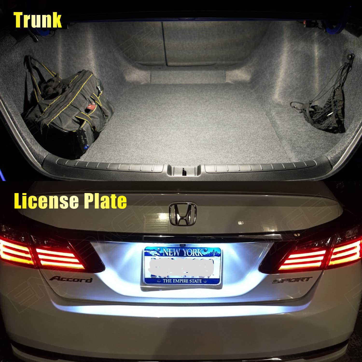 ENDPAGE license plate lights from ENDPAGE improve plate visibility when parked