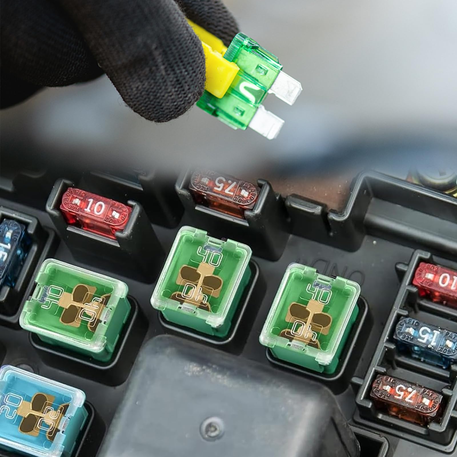 Eoppen tall-profile box fuses for high-density circuits and organization