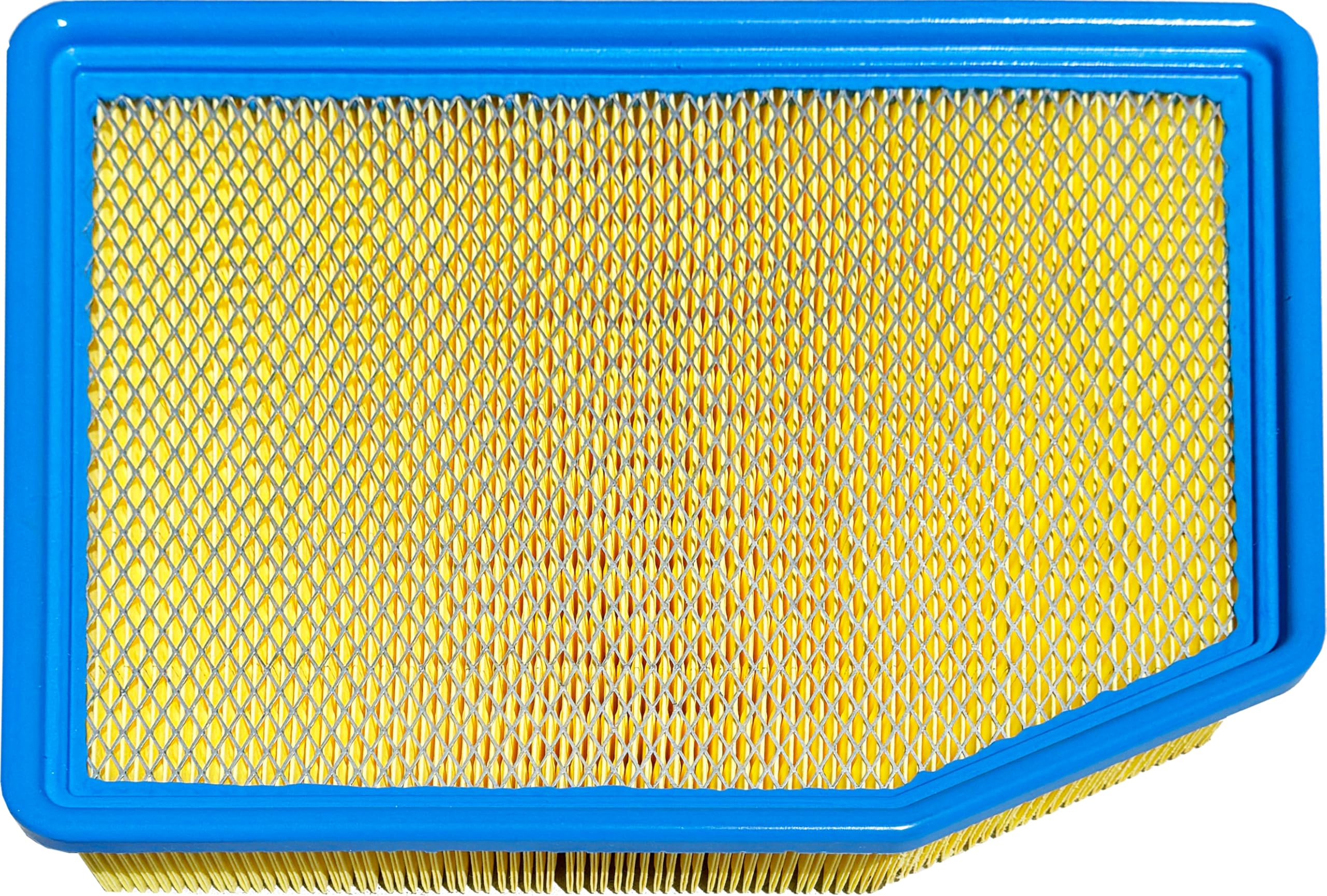 EPAuto GP404 brand label on filter confirming GM-part compatibility