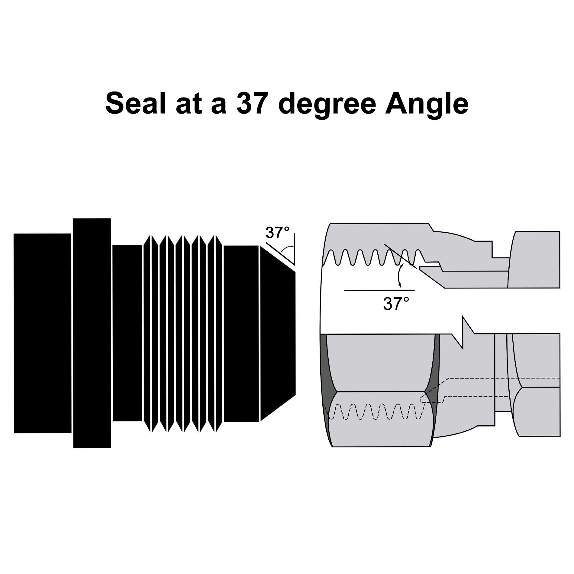 EVIL ENERGY 12AN weld bung dimensions emphasize size and compatibility.