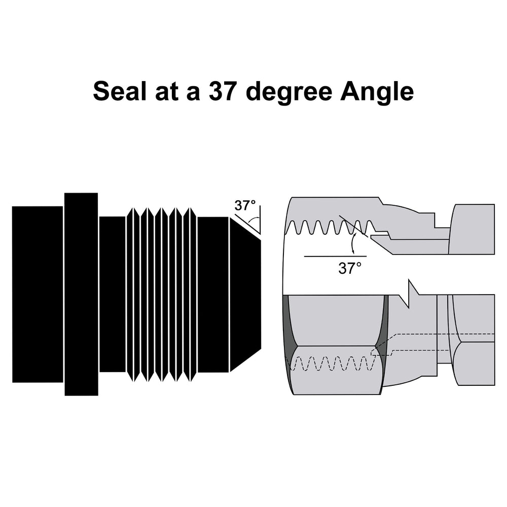 EVIL ENERGY 12AN weld bung dimensions emphasize size and compatibility.
