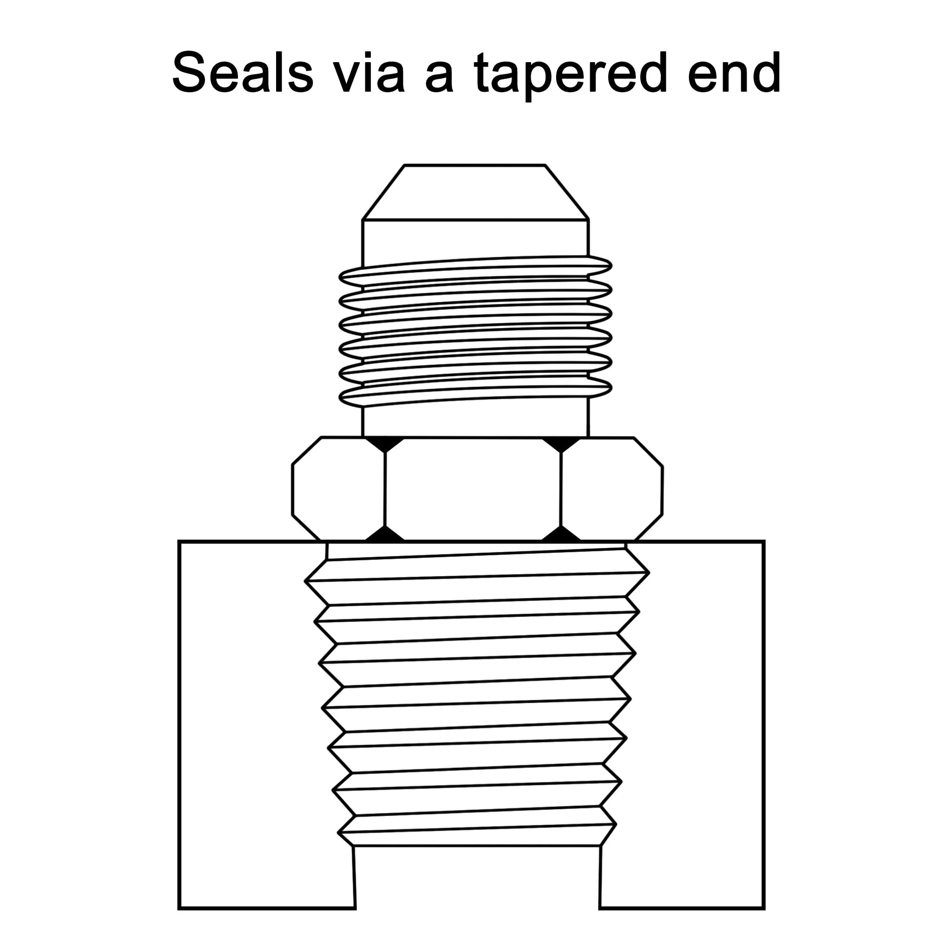 EVIL ENERGY straight 6AN to 3/8 NPT adapter, wrench-friendly design for easy install.