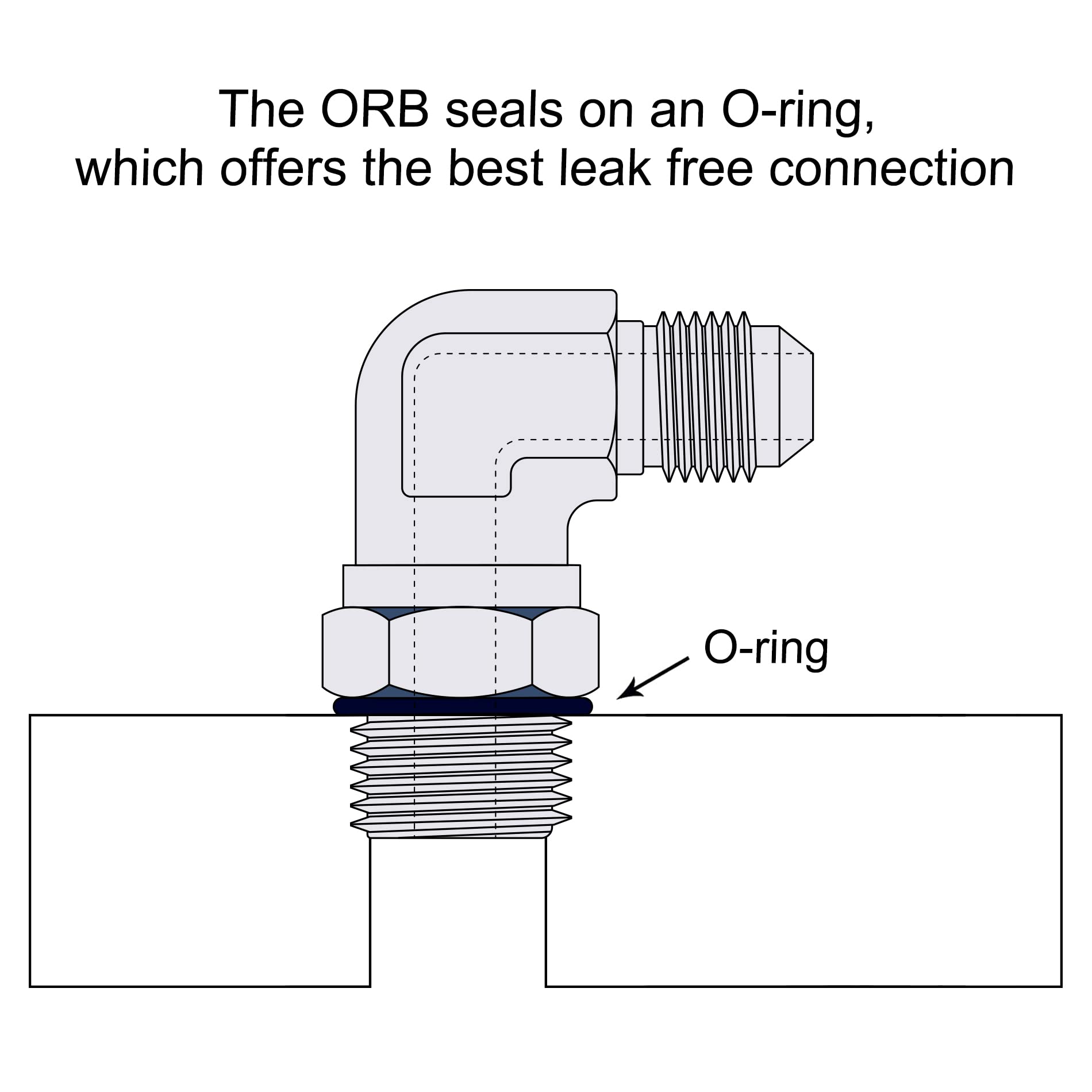 EVIL ENERGY ORB seal with O-ring ensures secure fluid connections.