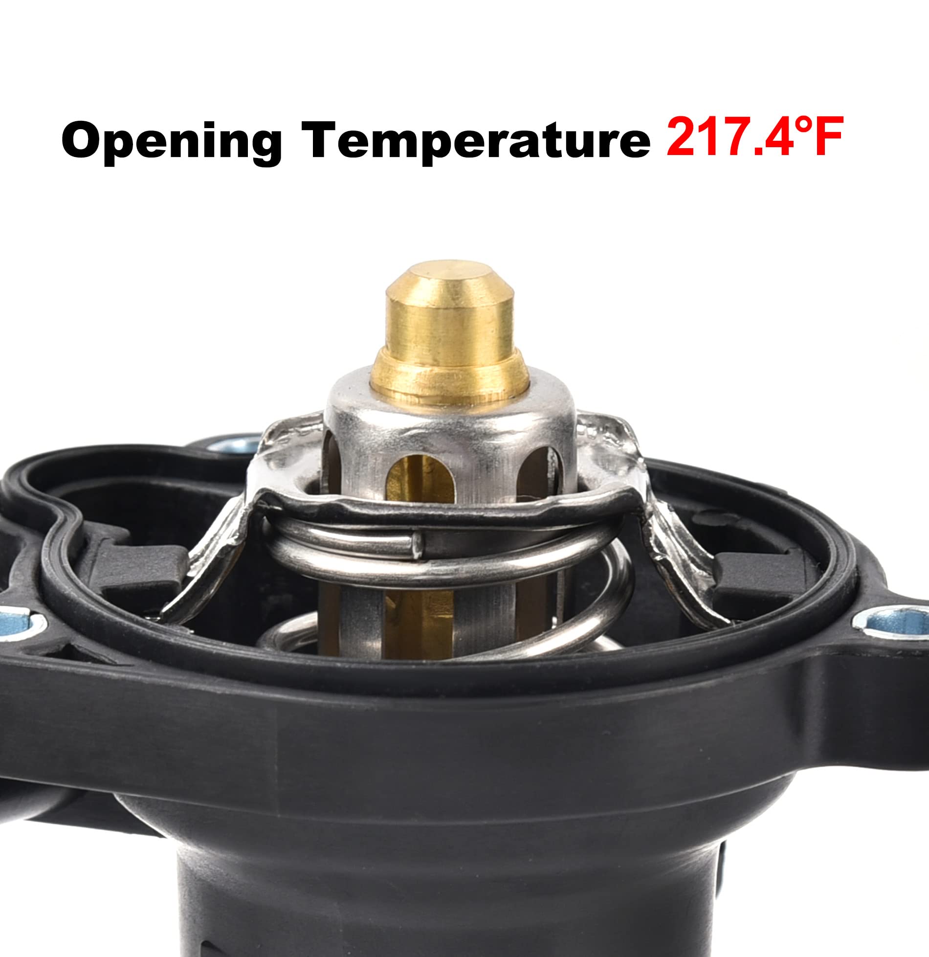 EVIL ENERGY thermostat housing assembly gasket closeup highlighting seal integrity