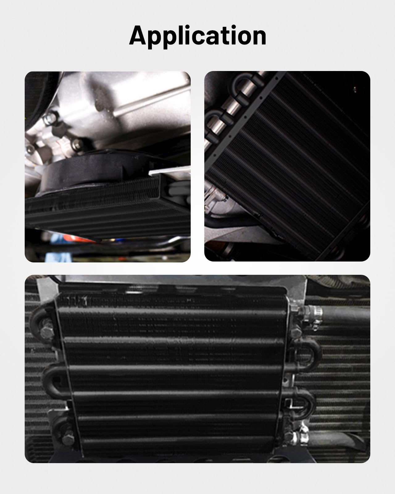 EVIL ENERGY universal-fit cooler demonstrates broad vehicle compatibility.