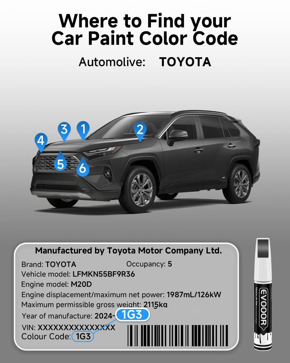 EVOOOR 1G3 color-matched touch-up on Toyota surfaces with seamless finish