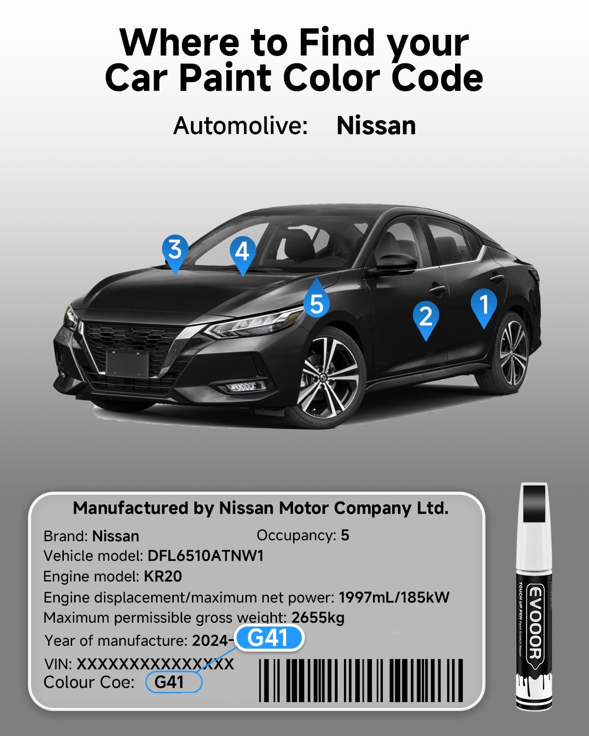 EVOOOR 2-in-1 touch-up design blends ease and accuracy