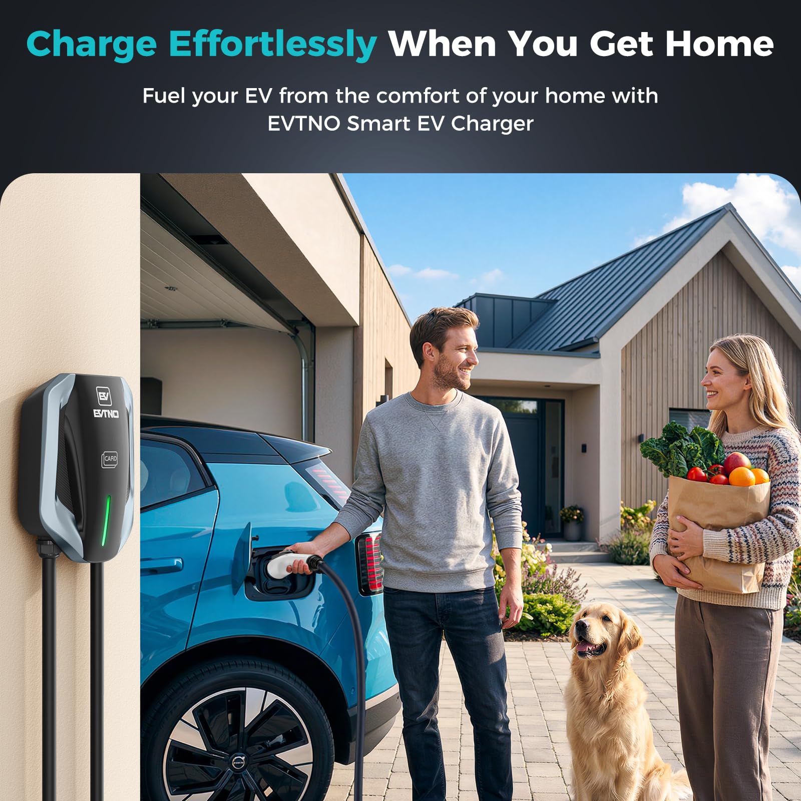 Rugged, durable build designed for long-term home use