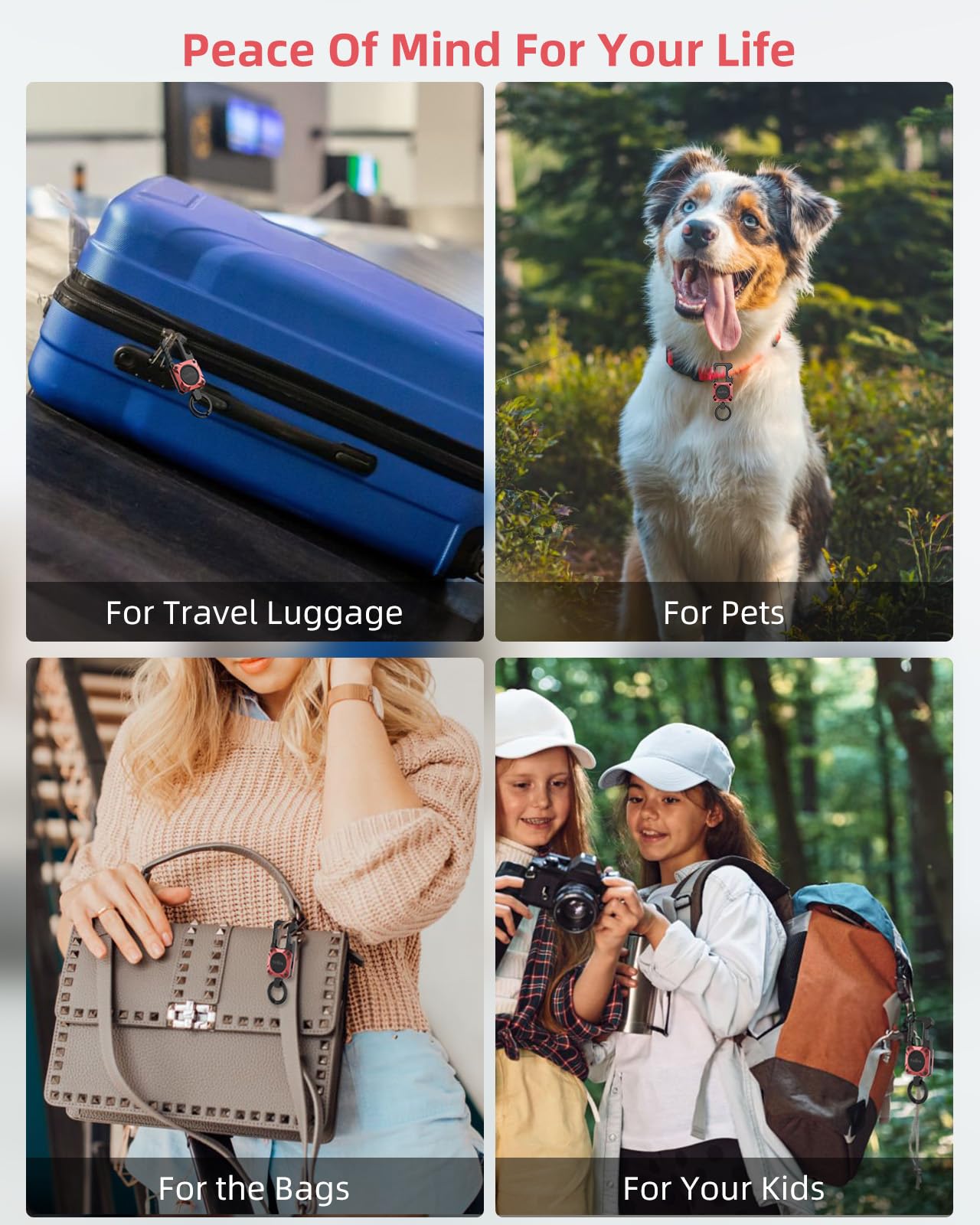 ExtreLife keychain pet tracker on dog collar for peace of mind.