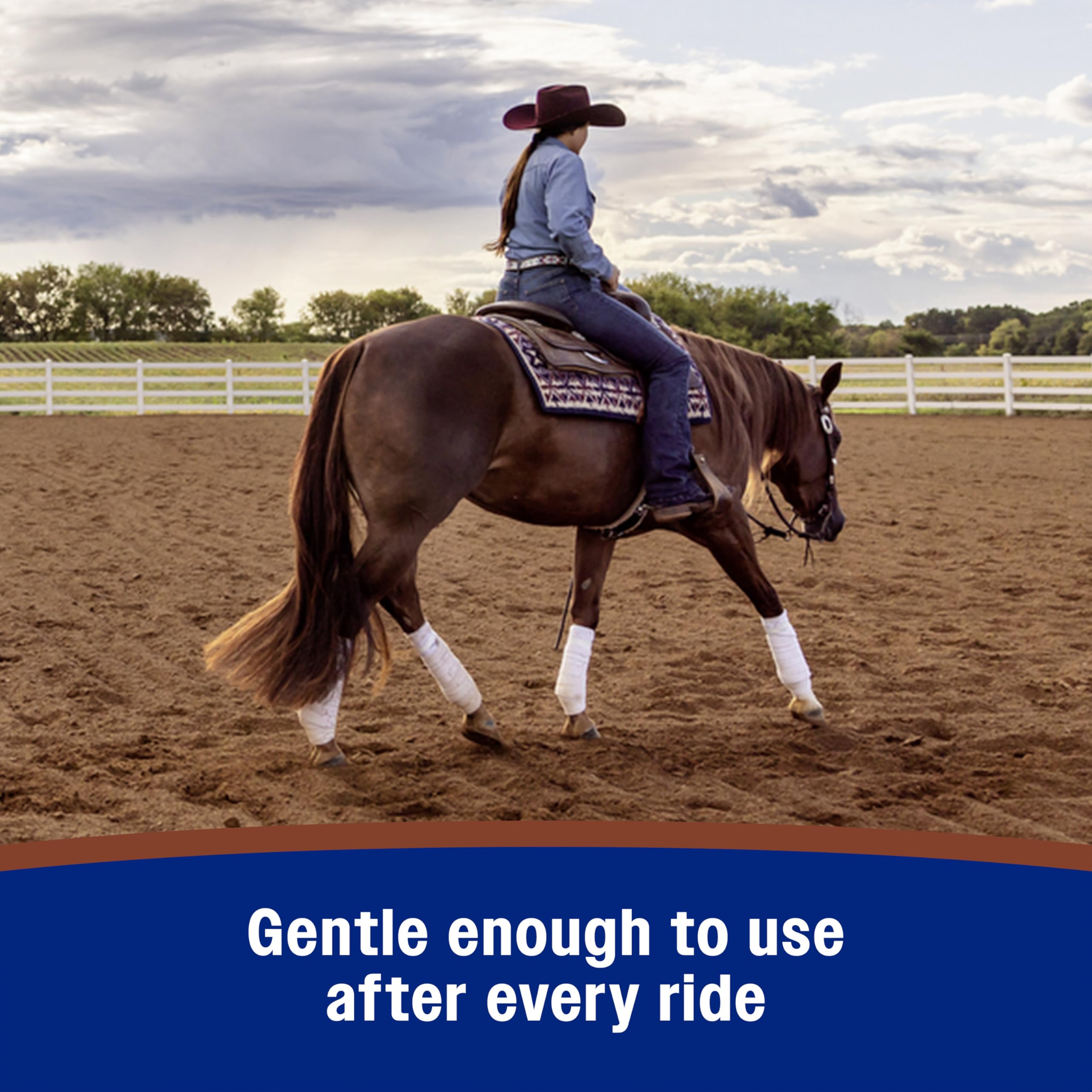 Leather after use exhibits natural shine and moisture retention from Farnam soap.