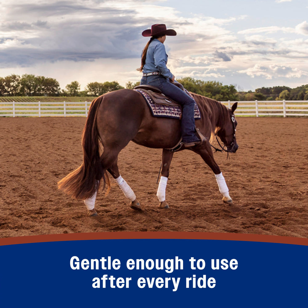Leather after use exhibits natural shine and moisture retention from Farnam soap.