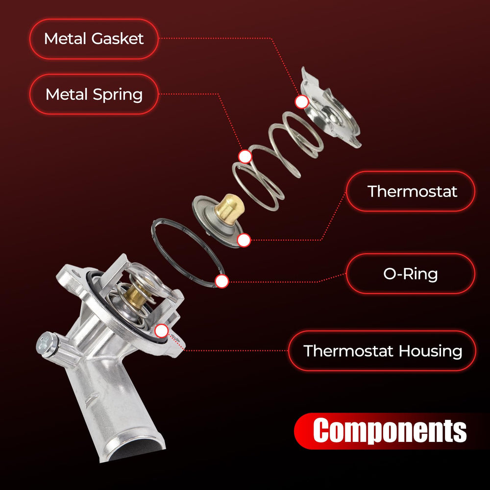 FETUSI warranty and support options provide after-purchase assistance.
