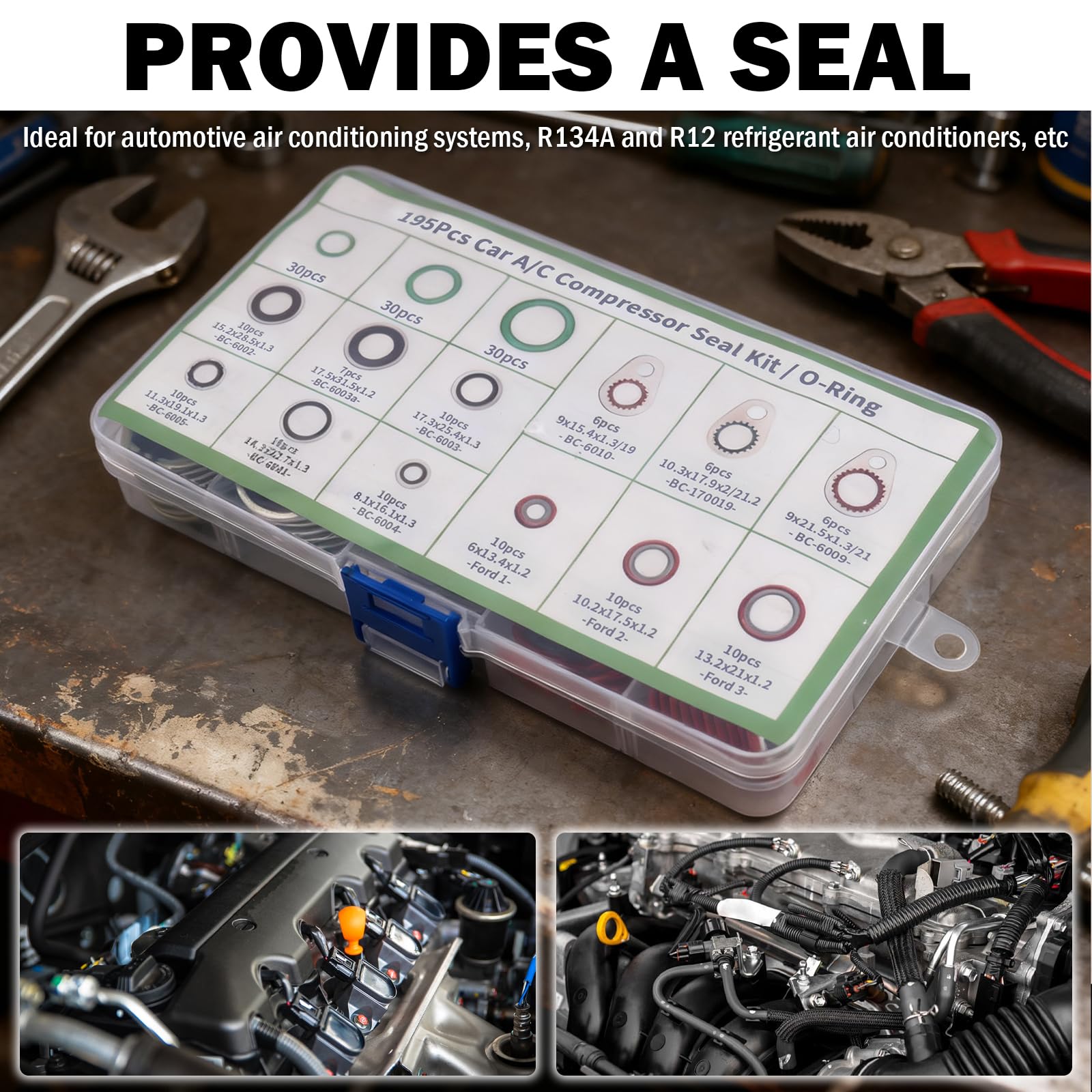 Figpade transparent storage box keeps sizes organized