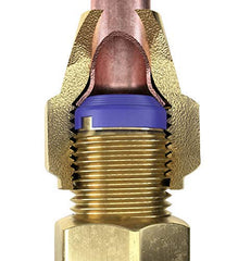 Brass flare cap with FlareSeal secures the Schrader valve connection.