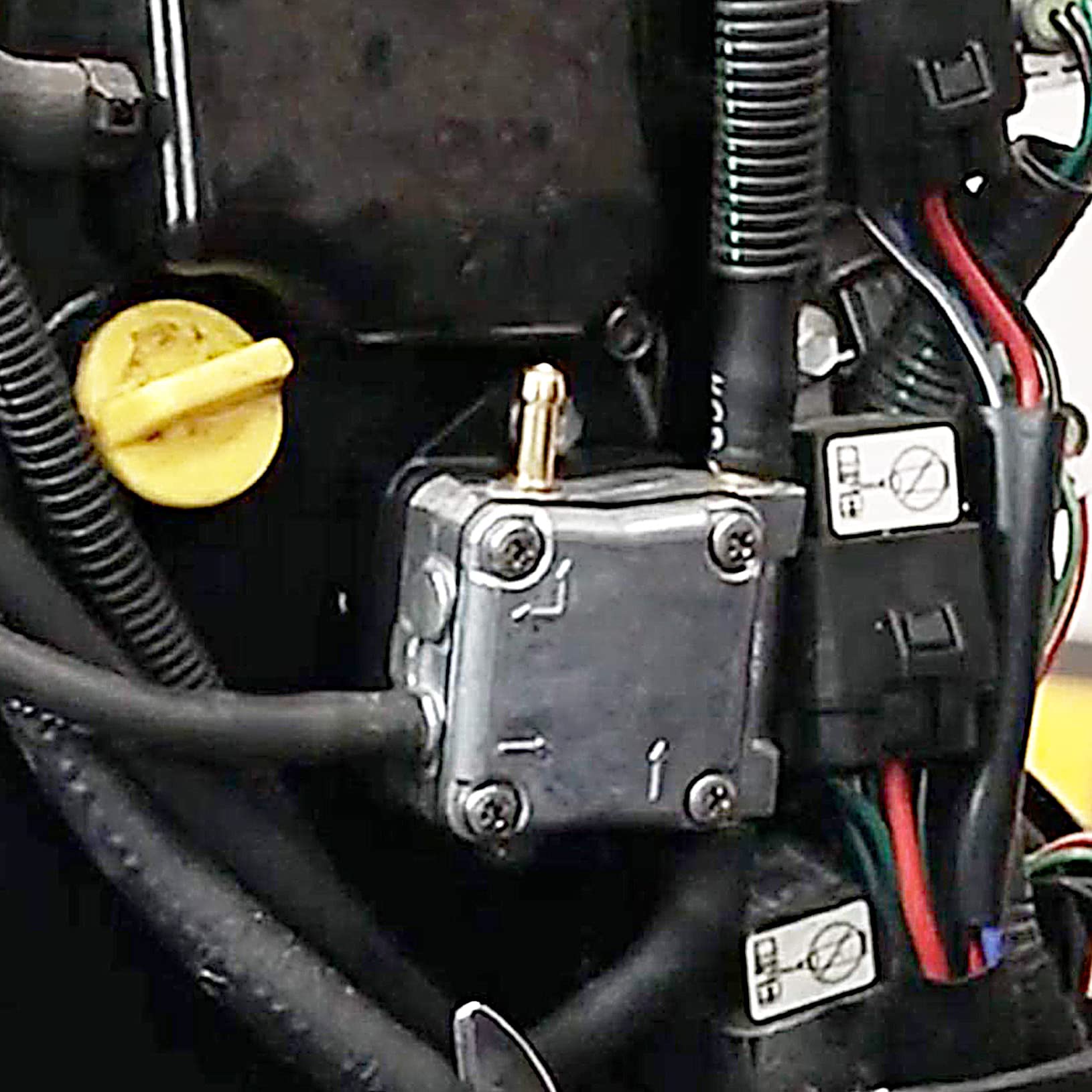 Fundyliue EFI fuel pump delivers consistent pressurized fuel to cylinders.