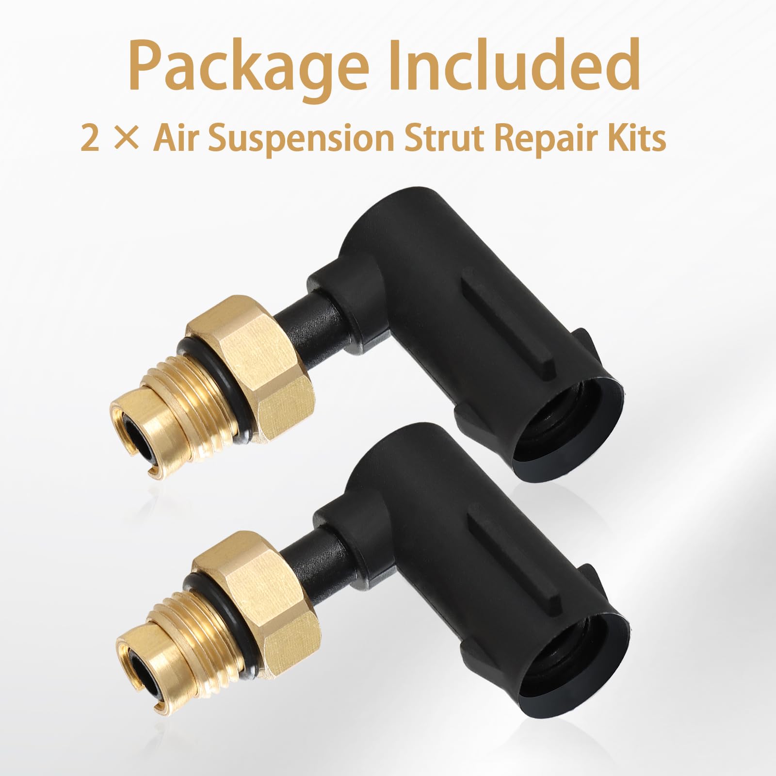 Contains two repair kits for complete, dependable replacements.
