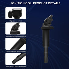 GAGOLCAR complete set in box, all six coils and six plugs for quick replacement.