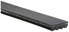 Gates K040359SF stretch-fit belt close-up showing durable construction for a reliable serpentine drive.
