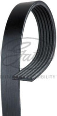 Gates K060950 Micro-V belt installed on engine bay showing OEM-fit compatibility.
