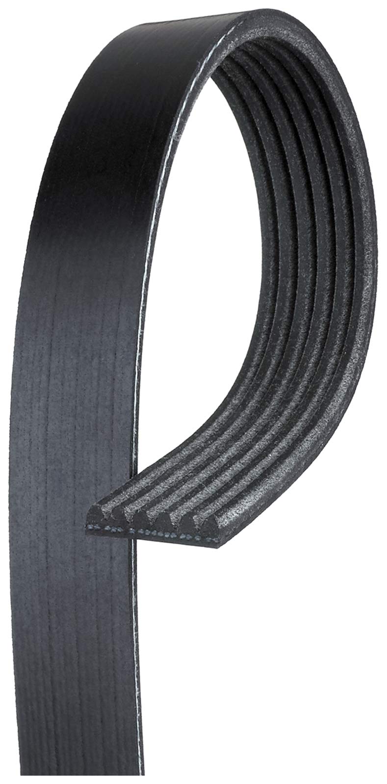 Gates K061031 Micro-V Serpentine Drive Belt front view, OE-fit and durable.